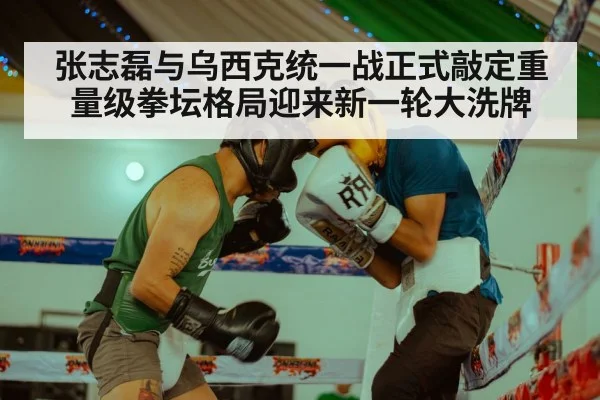 Zhang Zhilei boxing