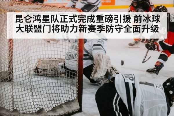 hockey goalie save