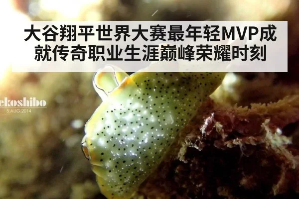 大谷翔平世界大赛最年轻MVP成就传奇职业生涯巅峰荣耀时刻
