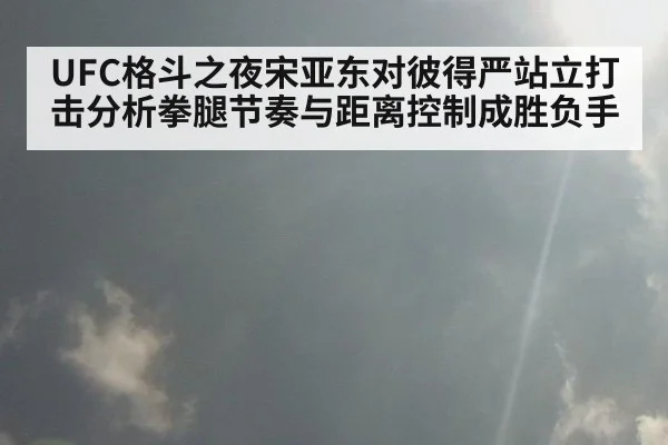 UFC格斗之夜宋亚东对彼得严站立打击分析拳腿节奏与距离控制成胜负手